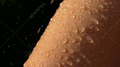 Wet body. Water droplets run down the female body. To wash in the shower delicate skin