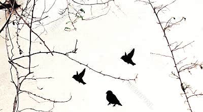 Black stencil painted birds street art on white wall with real natural tree branches with no leaves