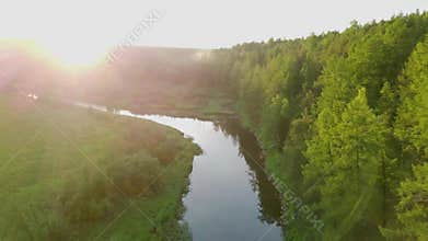 Bright sunny rays falling on green forest by river. Stock footage. Warm sunlight falls on beautiful dense forest with