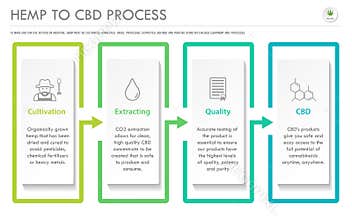 Hemp to CBD Process horizontal business infographic