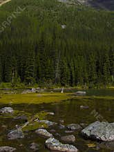 Consolation Lakes in Banff