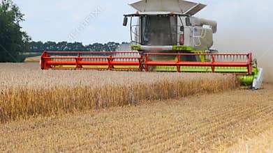 Modern combine harvester in the field