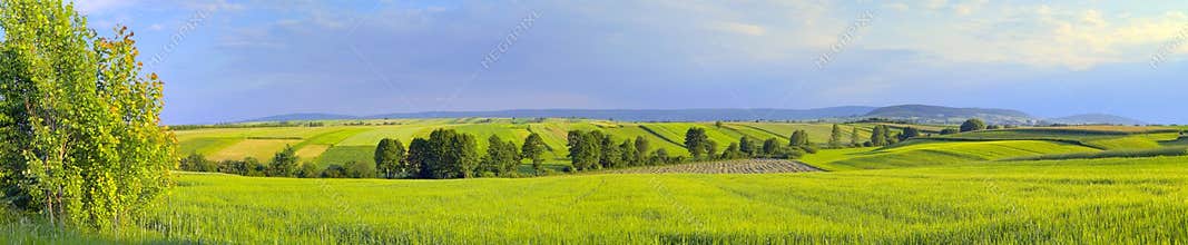 Panoramic landscape with green fields and trees