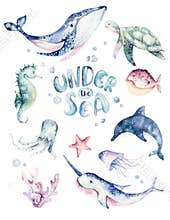 Set of sea animals poster. Blue watercolor ocean fish, turtle, whale and coral. Shell aquarium background. Nautical