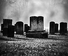 Misty graveyard