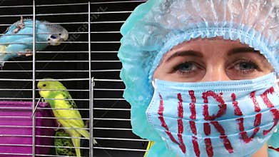 Avian flu is a large family of viral diseases