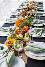 Formal Thanksgiving table and chavari chairs in the fall family group for holiday dinner