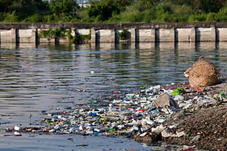 Water pollution