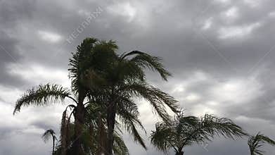 Time-lapse of tropical lightning and thunderstorm