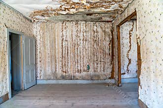 Extremely damaged wallpaper and drywall, likely from water damage at an abandoned home in the Bannack ghost town of Montana