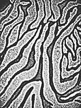 Distress grunge vector textures of fabric. Black and white background. EPS 8 illustration