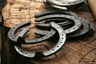 Horse shoes