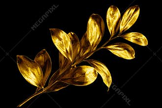 One golden leaves branch on black background isolated closeup, decorative gold color plant sprig, yellow shiny metallic twig