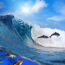 Happy playful dolphins jumping on breaking wave