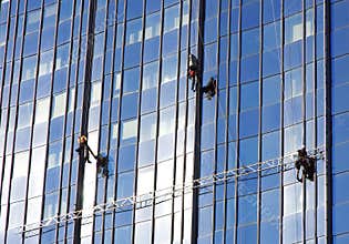 Window cleaner