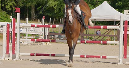 Cinematic slow motion close up of young female horsemanship master dressed in a professional apparel is practising
