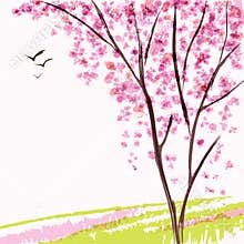 Spring blooming tree