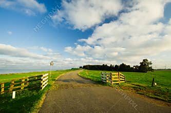 Country road in the netherland