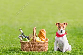 Picnic