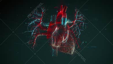 Digital model of the Human heart and major blood vessels