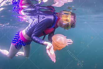 Snorkeling in Jellyfish