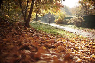 Autumn people