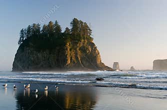 Second beach in Olympic national park
