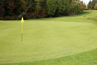 Golf Course - Luxury International Standard