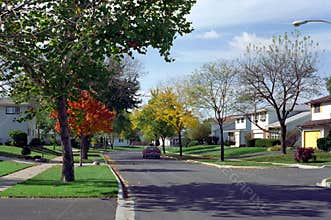 Chicago Illinois West Suburb Street USA