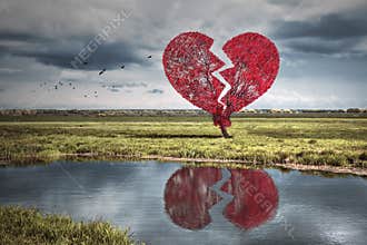 Broken heart tree