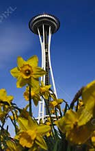 Space Needle with flowers