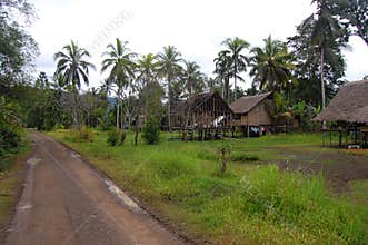 Village in Papua New Guinea