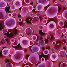 Abstract seamless pattern with particles of colors of the year viva magenta.