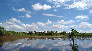 Explore the riches of the sky: a magnificent timelapse of bright clouds during the day