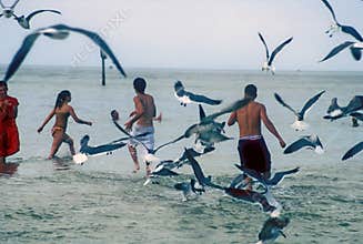 Flying sea gulls and bathers