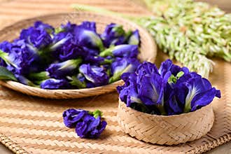 Blue butterfly pea flowers, Natural food coloring