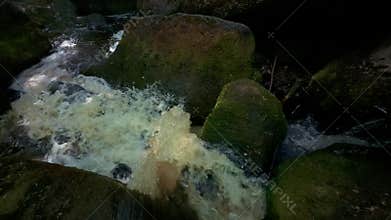 Burbage Brook rushes over boulders and ferns in Padley Gorge, Derbyshire, UK by lush forest, in 4K