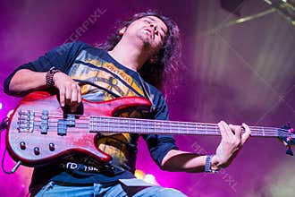 Rock concert guitarist
