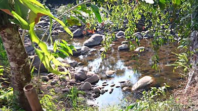 Clear Stream Flowing Over Rocks Nature's Serenity Mang River in Nan , Thailand.
