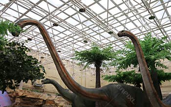 Dinosaur