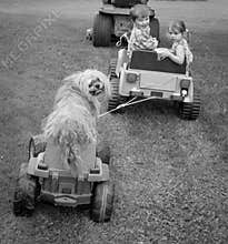 Dogs just want to have Fun