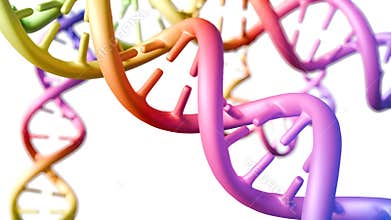 DNA double helix with a rainbow color gradient