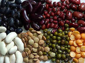 Beans