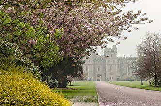 DSC8150 Windsor Castle in Spring Colors