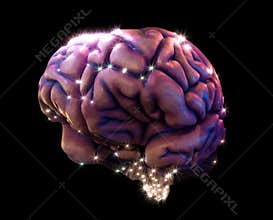 Brain depiction