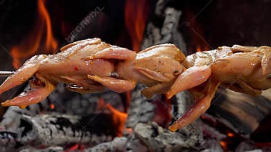 raw marinated quail carcasses on the skewers placed above the open fire