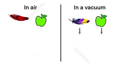 comparing feather and apple falling in air and in a vacuum