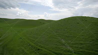 Serene Rolling Green Hills Under a Dramatic Cloudscape, Gentle Breeze Stirring Grass
