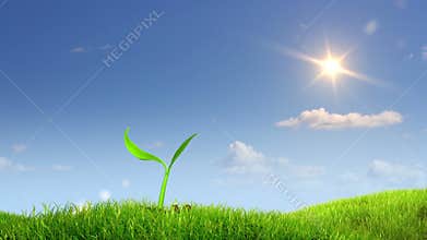 Growing plant against sky background