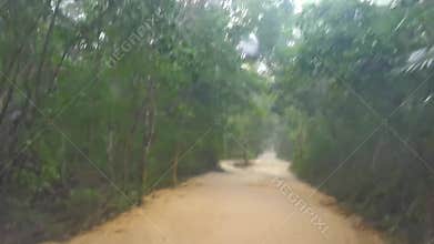 Driving bumpy road in the tropical jungle during rain Mexico